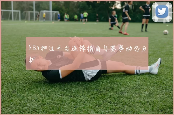NBA押注平台选择指南与赛事动态分析