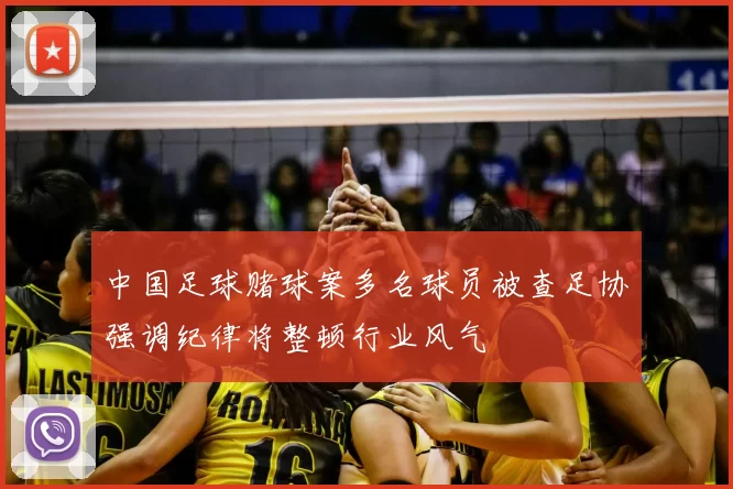 中国足球赌球案多名球员被查足协强调纪律将整顿行业风气
