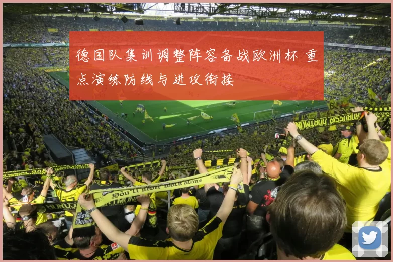 德国队集训调整阵容备战欧洲杯 重点演练防线与进攻衔接