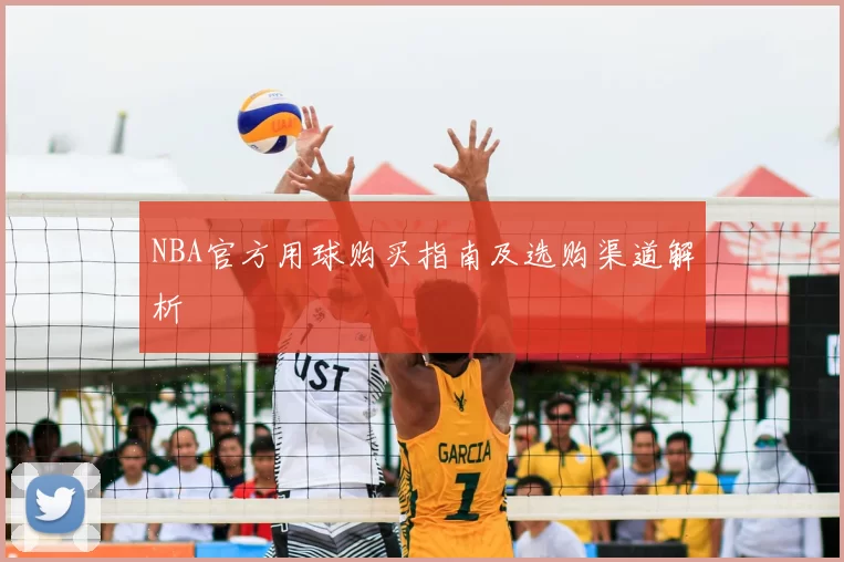 NBA官方用球购买指南及选购渠道解析