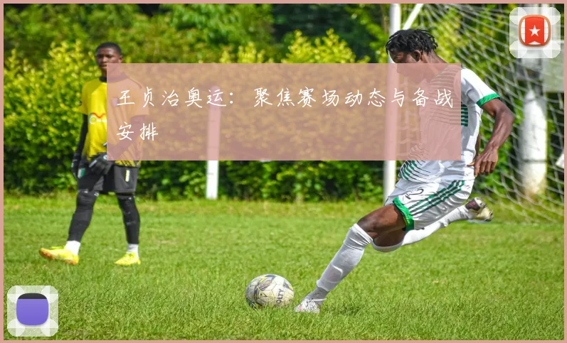 王贞治奥运：聚焦赛场动态与备战安排